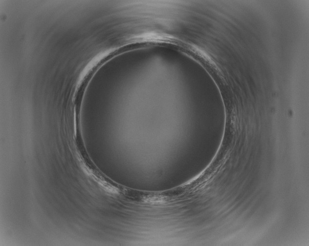 X0000068741323200605051441