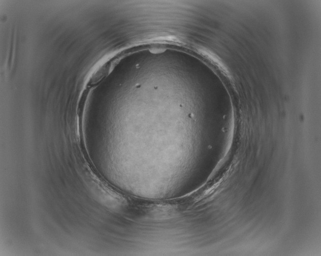 X0000068741324200605051441