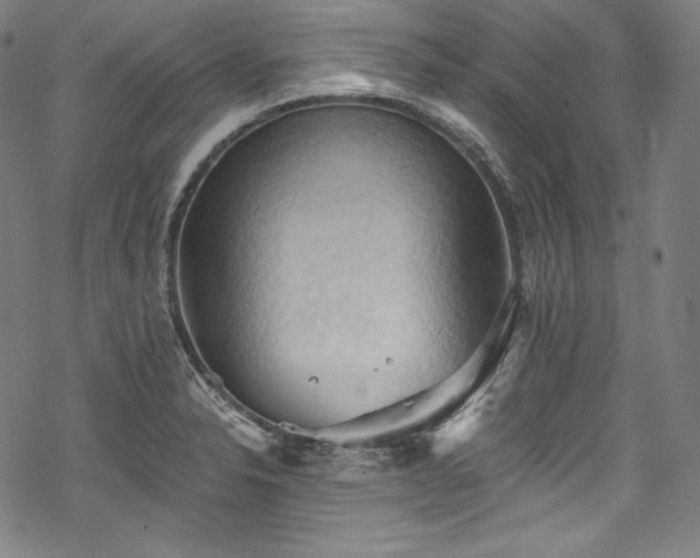 X0000068741326200605051441