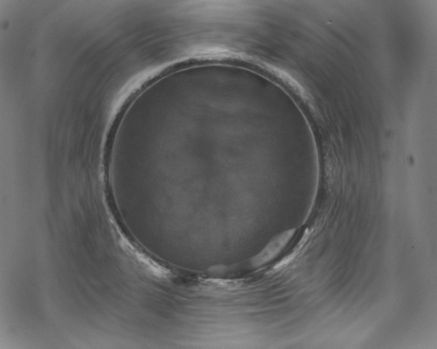 X0000068741327200605051441