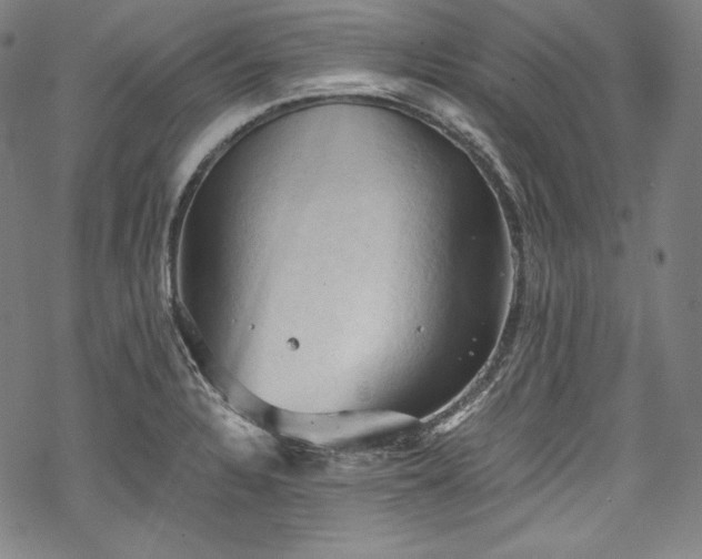 X0000068741328200605051441