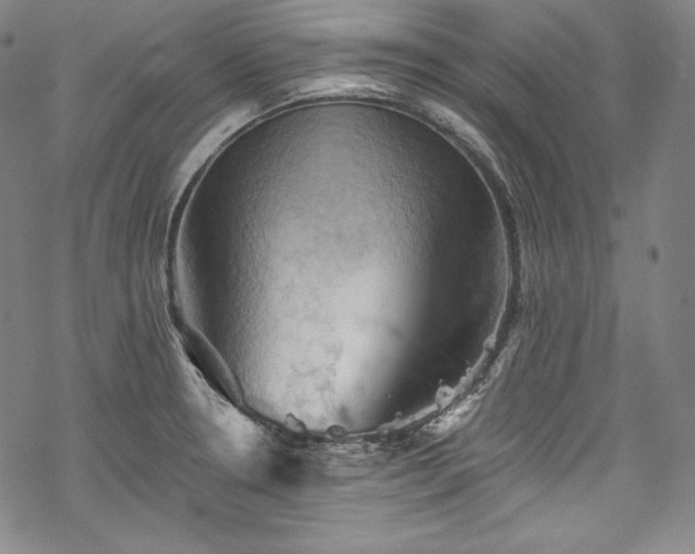 X0000068741330200605051441