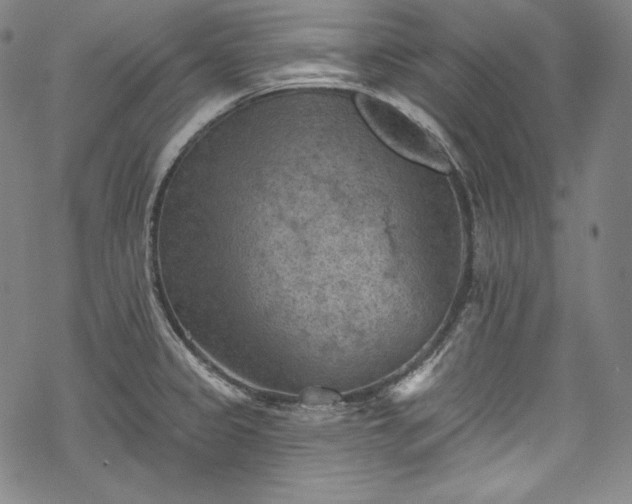 X0000068741333200605051441