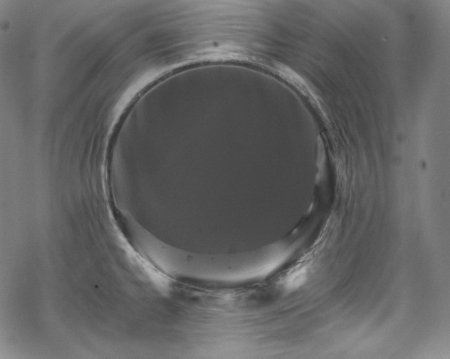 X0000068741334200605051441