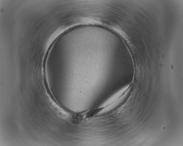 X0000068741335200605051441