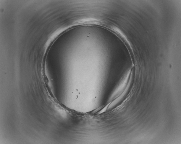 X0000068741336200605051441