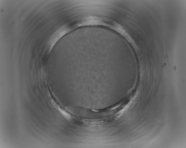 X0000068741337200605051441