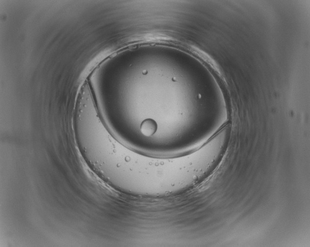 X0000068741338200605051441