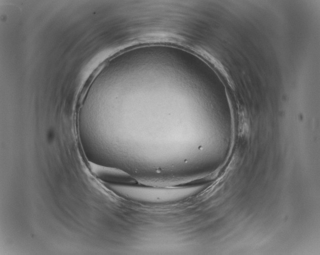 X0000068741342200605051441