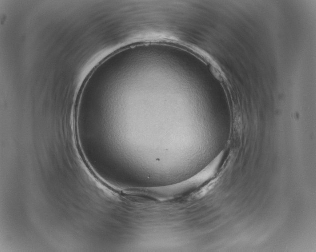 X0000068741343200605051441