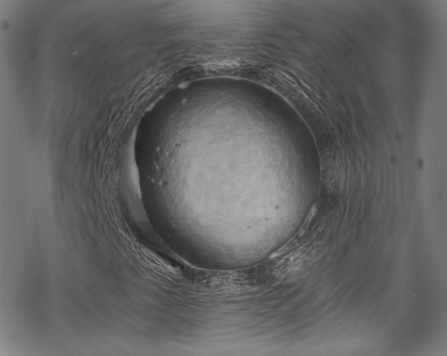 X0000068741345200605051440