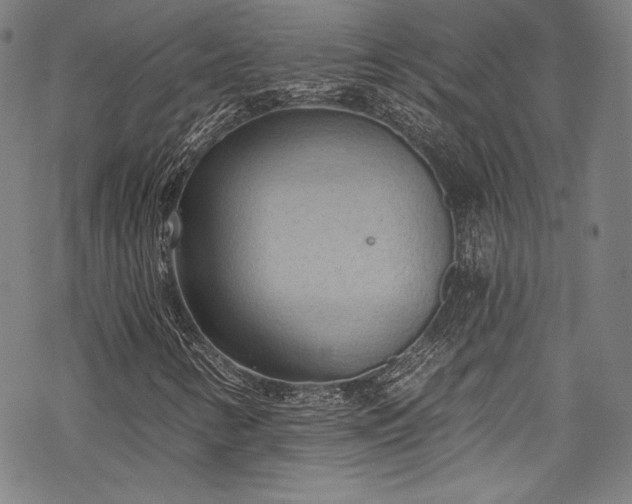 X0000068741346200605051440