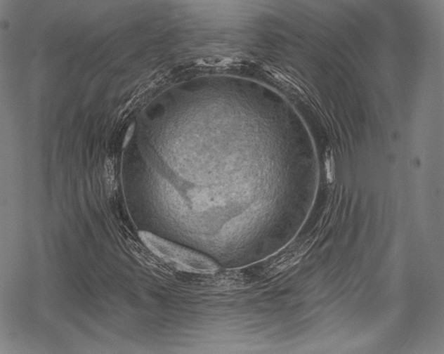 X0000068741347200605051440