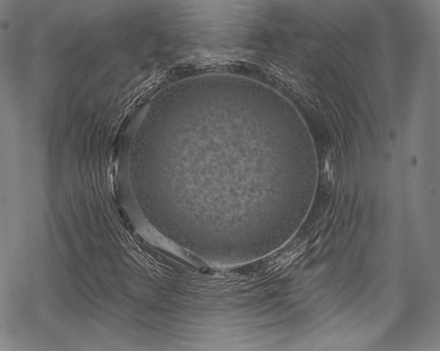 X0000068741348200605051440