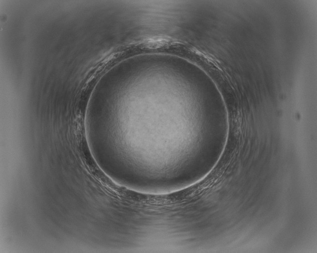 X0000068741349200605051440