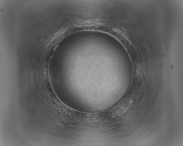 X0000068741350200605051440