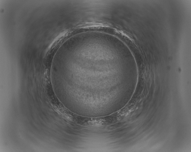 X0000068741351200605051440