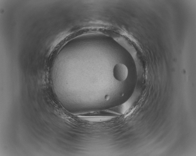 X0000068741352200605051440