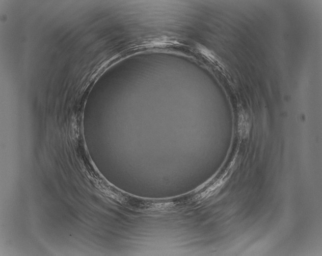 X0000068741353200605051440