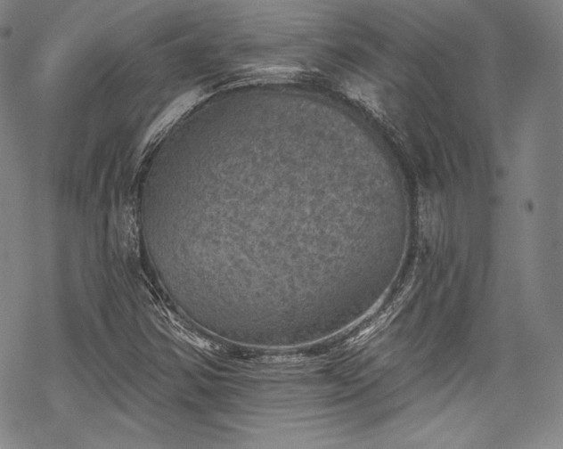 X0000068741354200605051440