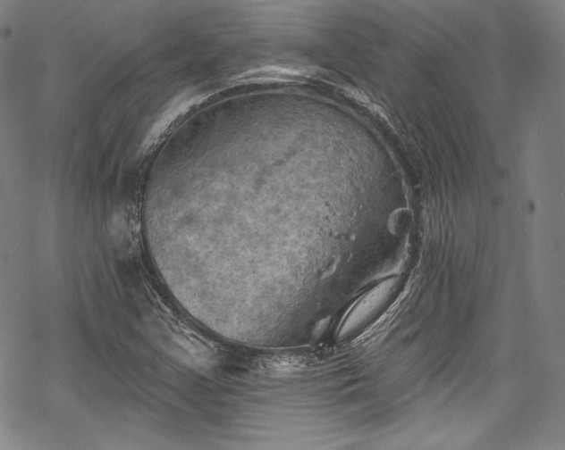 X0000068741355200605051440