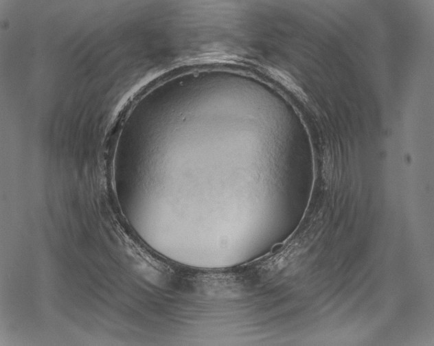 X0000068741356200605051440