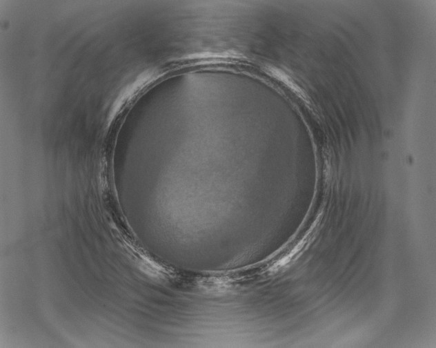 X0000068741357200605051440