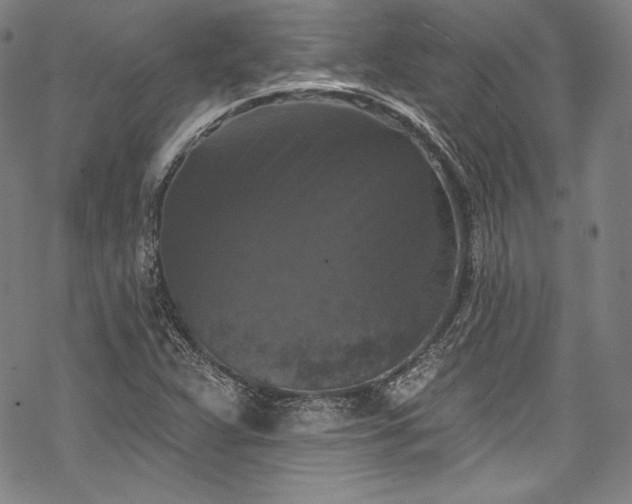 X0000068741359200605051440