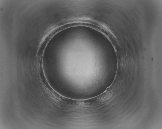 X0000068741360200605051440