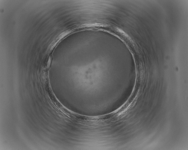 X0000068741361200605051440