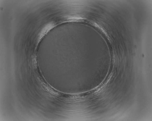 X0000068741362200605051440