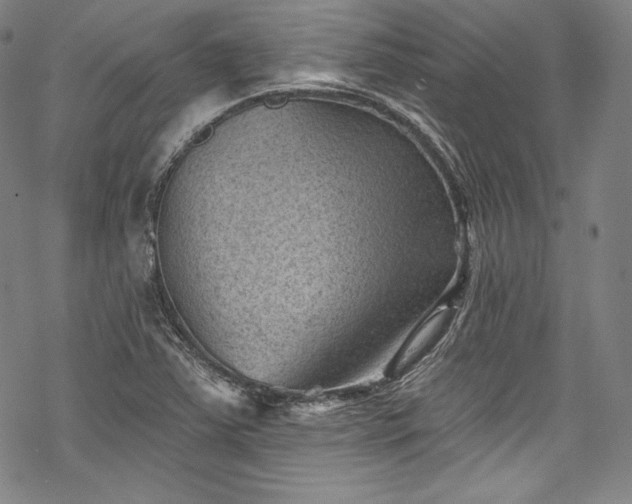 X0000068741363200605051440