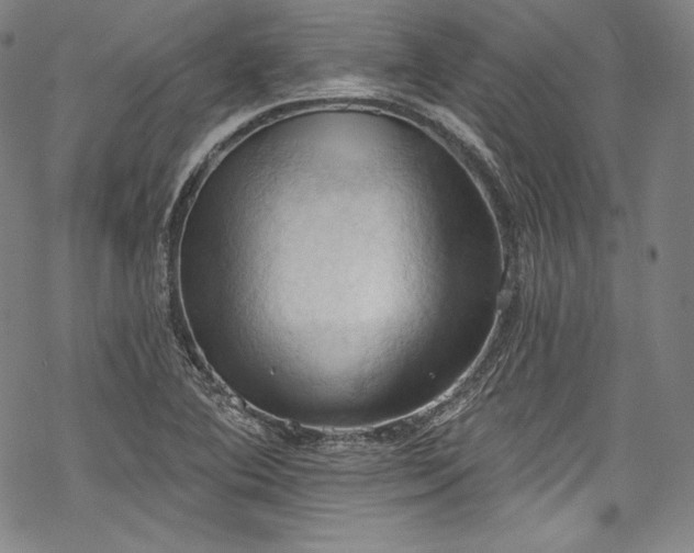 X0000068741364200605051440