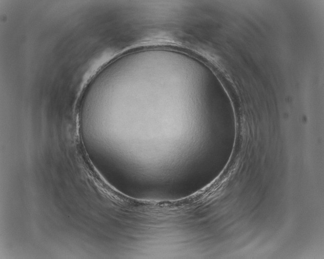 X0000068741366200605051440