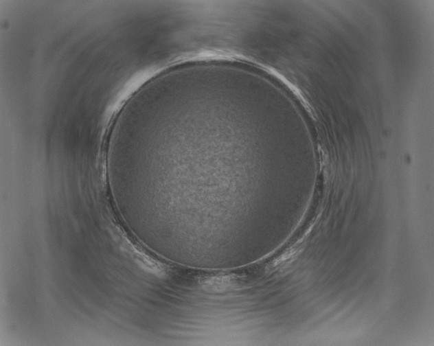 X0000068741367200605051440