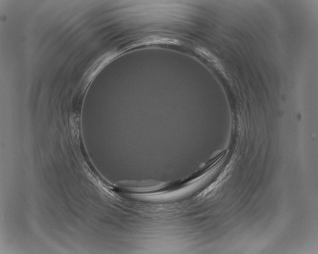 X0000068741369200605051440