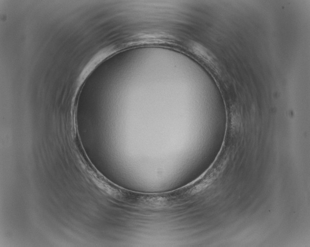 X0000068741370200605051440