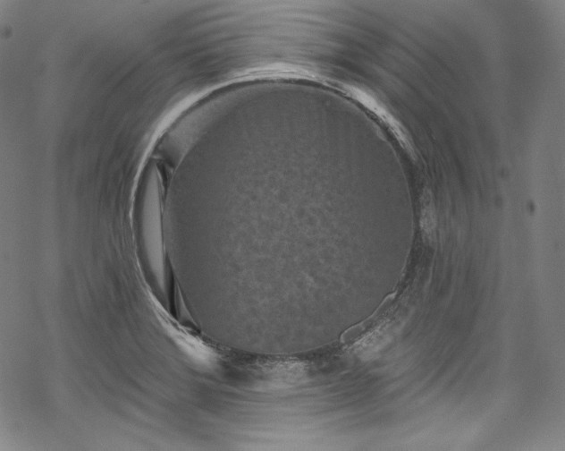 X0000068741372200605051440