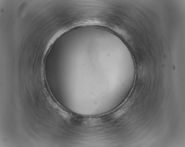 X0000068741374200605051440