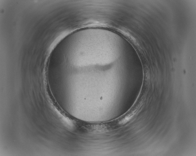 X0000068741375200605051440