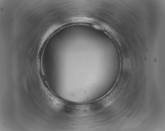 X0000068741376200605051440