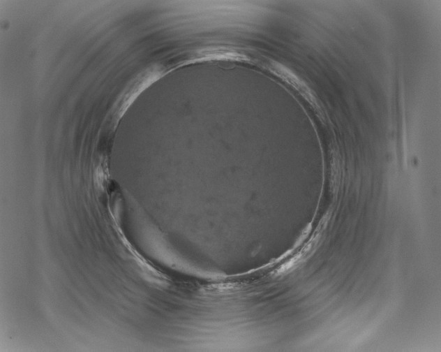 X0000068741377200605051440