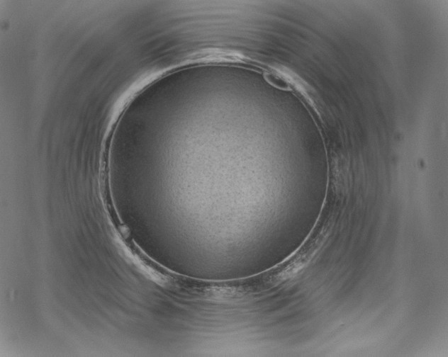 X0000068741379200605051440