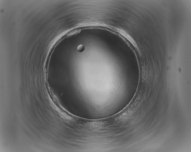 X0000068741380200605051440