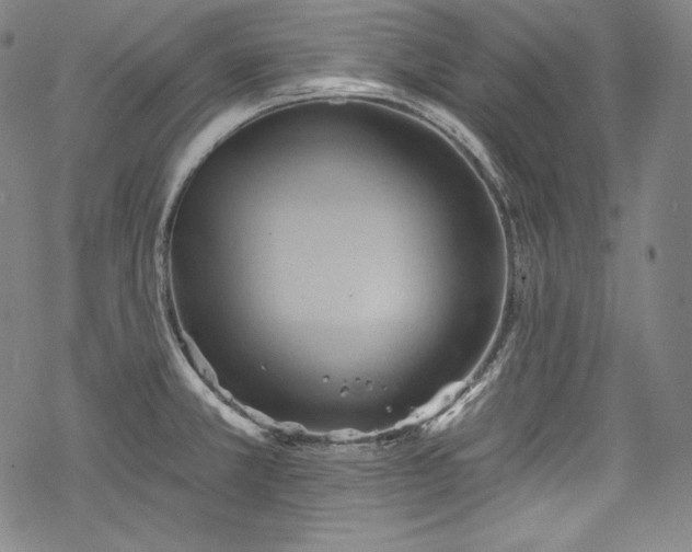 X0000068741381200605051440