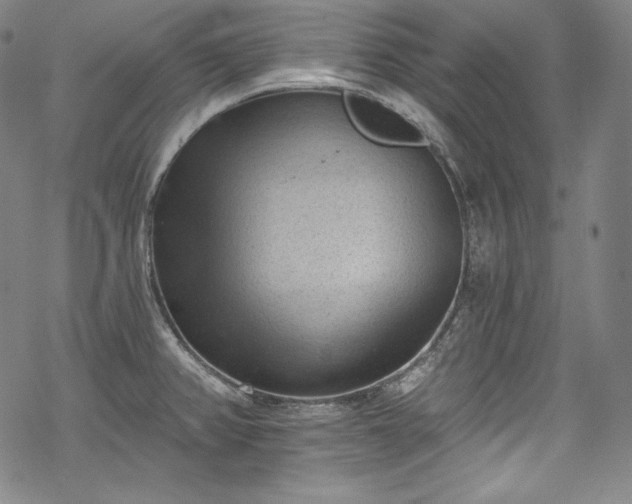 X0000068741382200605051440