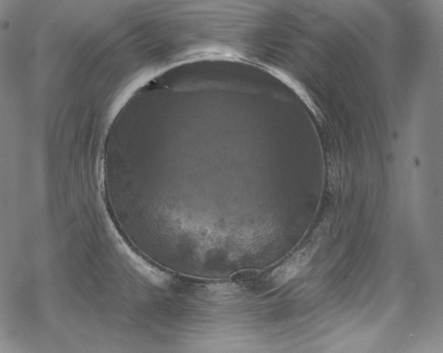 X0000068741383200605051440