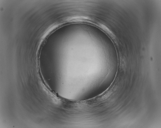 X0000068741384200605051440