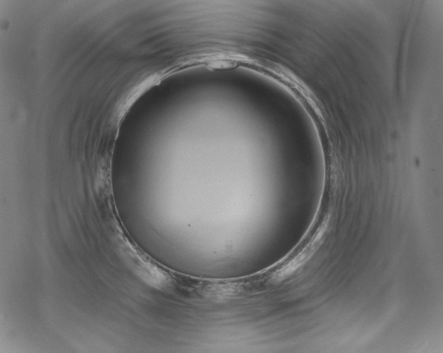 X0000068741385200605051440