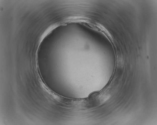 X0000068741386200605051440